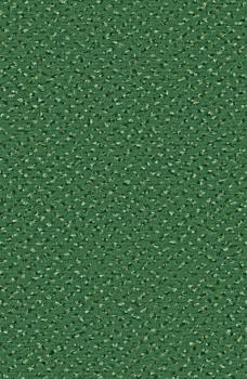 Preview: Rechteckbild vom Alexis